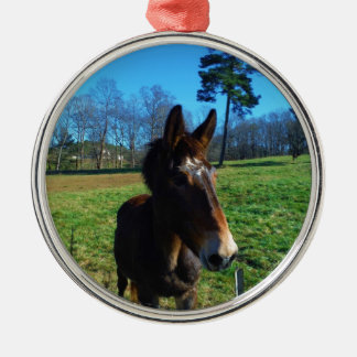 Ornamento De Metal Maçã-branca