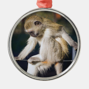Ornamento De Metal Macaco Bobo