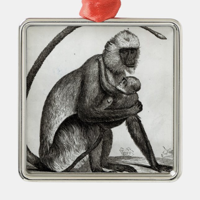 Ornamento De Metal Macaco brasileiro (Frente)
