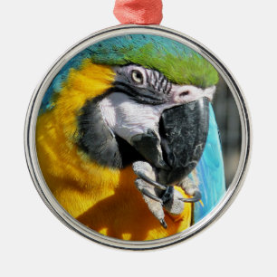 ORNAMENTO DE METAL MACAWS