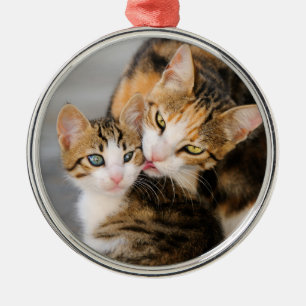 Ornamento De Metal Mãe Cat Adora Foto De Gatinho Bonito -