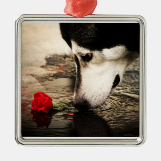 Ornamento De Metal Malamute do Alasca com rosa vermelha