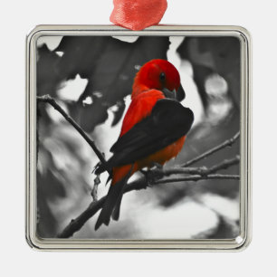 Ornamento De Metal Male Scarlet Tanager