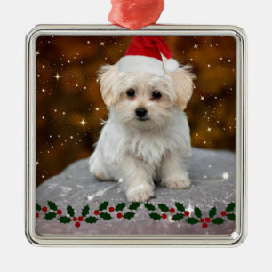 Ornamento De Metal Maltês Puppy Natal