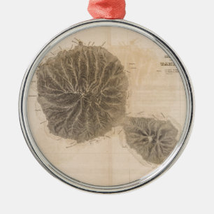 Ornamento De Metal Mapa das Vintagens do Taiti (1845)