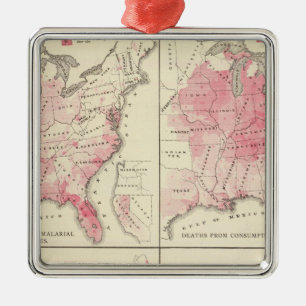 Ornamento De Metal Mapas da vitalidade dos Estados Unidos