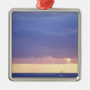 Ornamento De Metal Mar 4