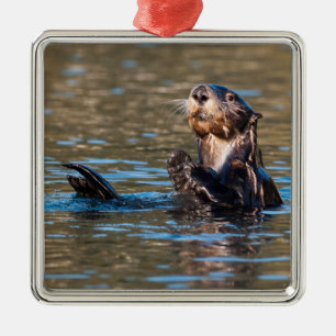 Ornamento De Metal Mar de Sunny
