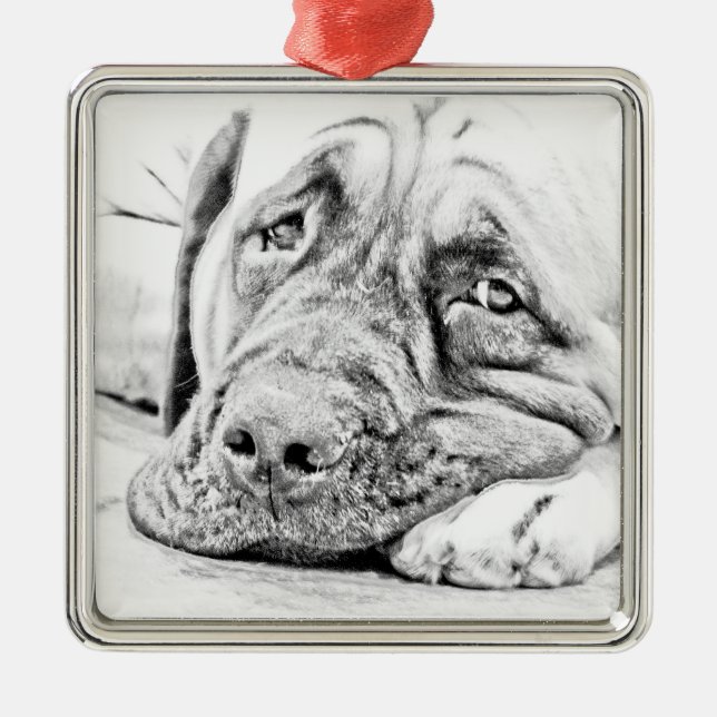 Ornamento De Metal Mastiff preguiçoso (Frente)