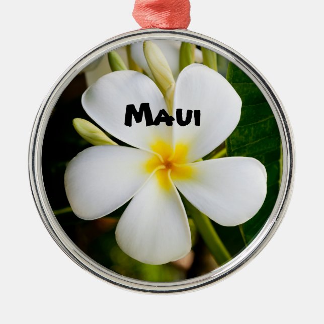 Ornamento De Metal Maui Espetacular (Frente)