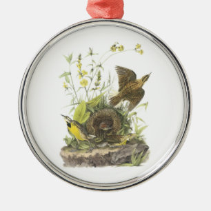 Ornamento De Metal Meadowlark Oriental por Audubon
