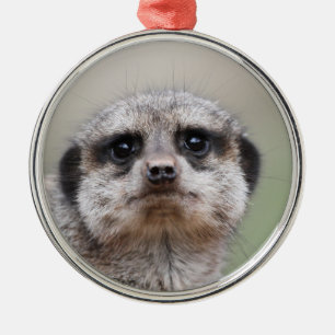 Ornamento De Metal Meerkat_2015_0206