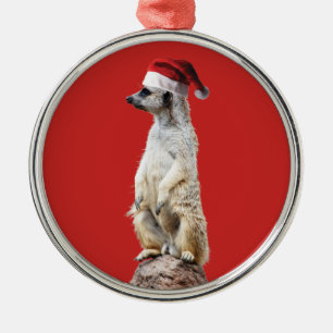 Ornamento De Metal Meerkat em um chapéu do papai noel
