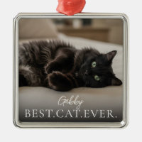 Melhor Gato de Todos os Tempos Nome do seu Pet e F
