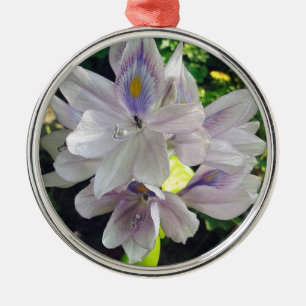 Ornamento De Metal Minha pequena planta de jardim de água