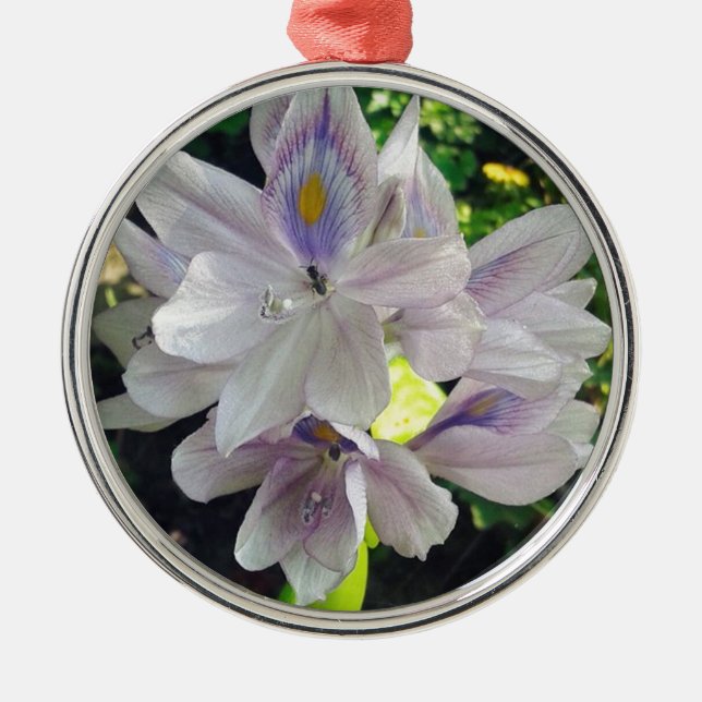 Ornamento De Metal Minha pequena planta de jardim de água (Frente)