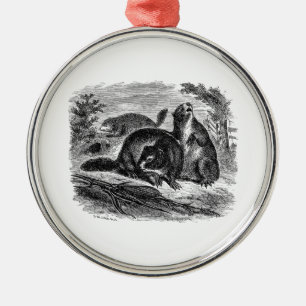 Ornamento De Metal Modelo retro das marmotas da marmota dos 1800s do