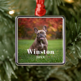 Ornamento De Metal Modern Custom Pet Name Year Photo Holiday