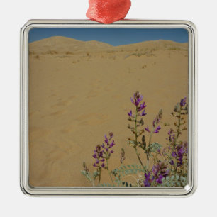 Ornamento De Metal Mojave Indigo Bush e Kelso Dunes