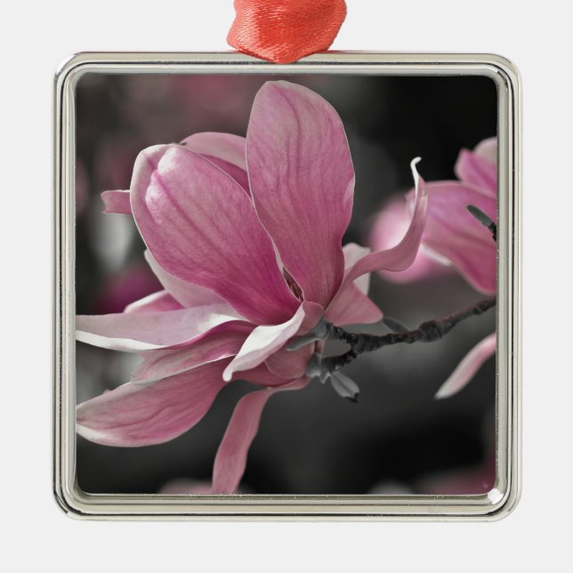 Ornamento De Metal Molho Rosa Japonês Magnolia (Frente)