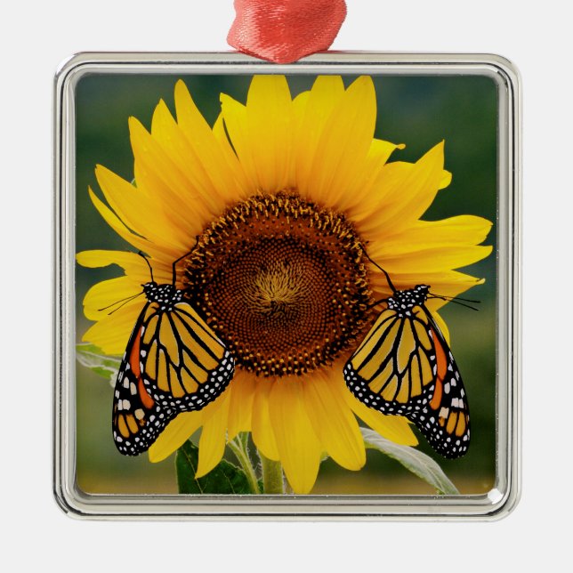 Ornamento De Metal Monarca Butterfies no girassol (Frente)