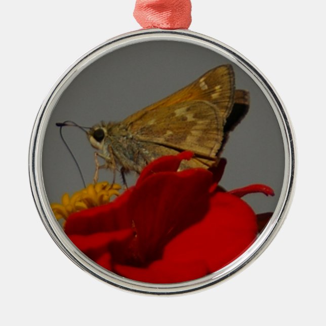 Ornamento De Metal Moth (Frente)