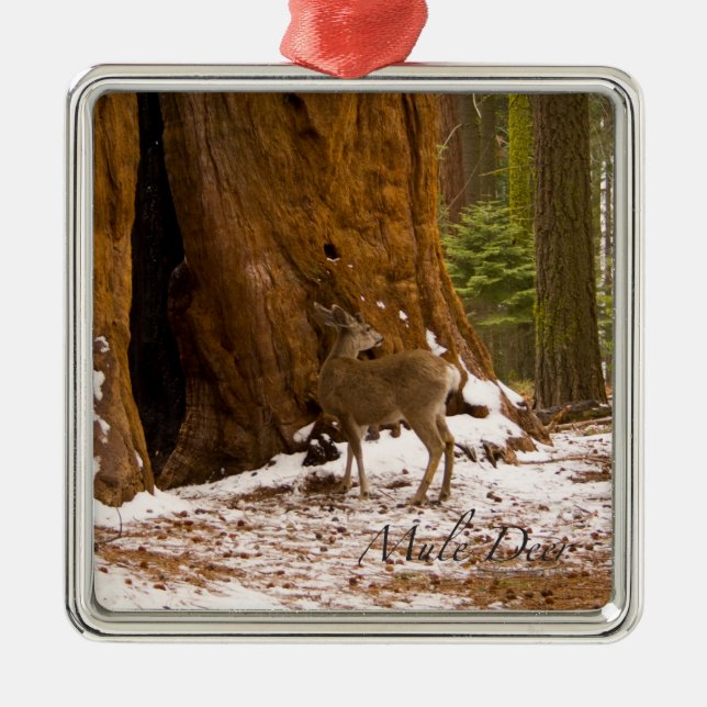 Ornamento De Metal Mule Deer (Frente)
