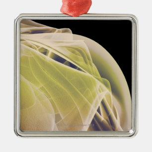 Ornamento De Metal Músculos do ombro