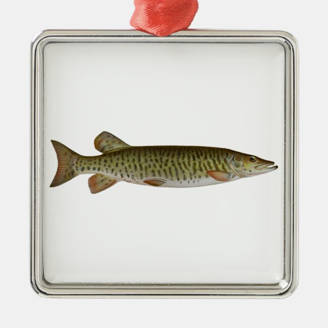 Ornamento De Metal Musky (muskellunge) (Frente)