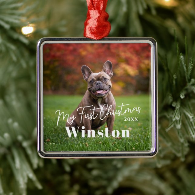 Ornamento De Metal My First Christmas Custom Pet Name Photo (Árvore)