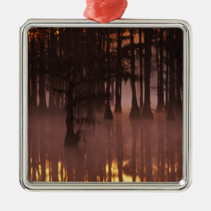 Ornamento De Metal N.A., EUA, Geórgia, George Smith State Park.