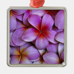 Ornamento De Metal N.A., EUA, Maui, Havaí. Flores de Plumeria rosa.