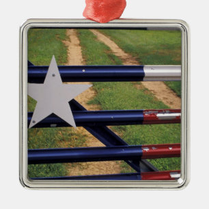 Ornamento De Metal N.A., EUA, Texas, Lago Buchanan, bandeira do Texas