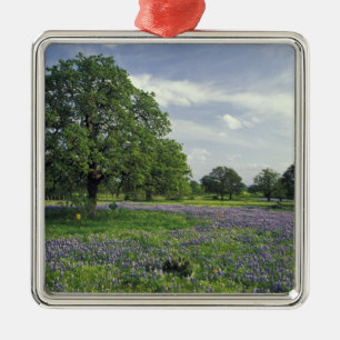 Ornamento De Metal N.A, EUA, Texas, Lago Buchanan, Carvalhos e Azul