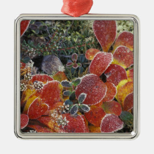 Ornamento De Metal NA, EUA, Alasca. Parque Nacional Denali. Bearberry