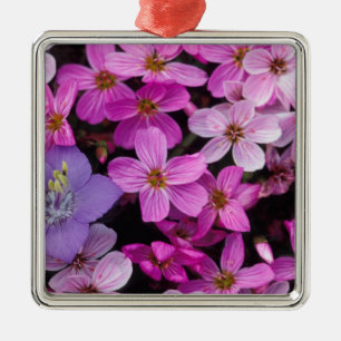 Ornamento De Metal NA, EUA, Alaska, Ilhas Aleutas, Flores Selvagens