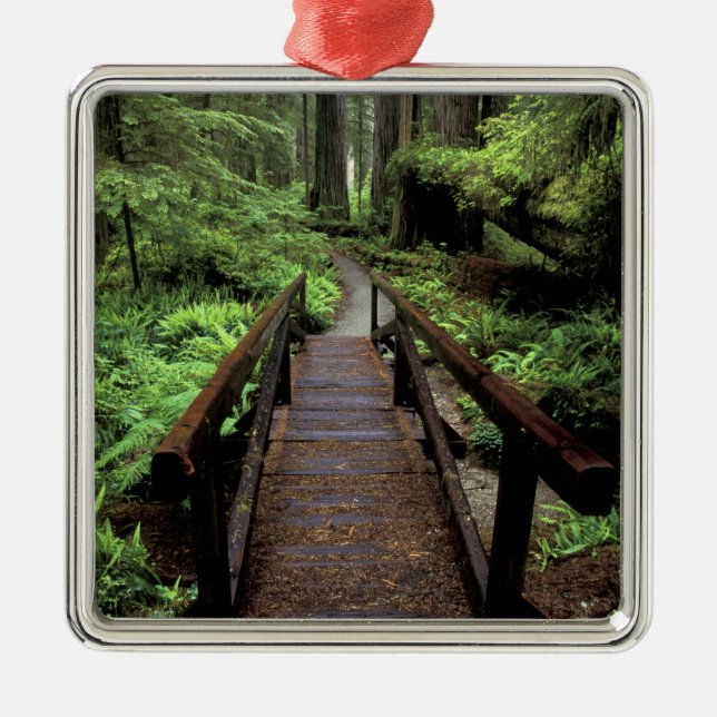 Ornamento De Metal NA, EUA, Califórnia, Jedidiah Smith Redwoods (Frente)