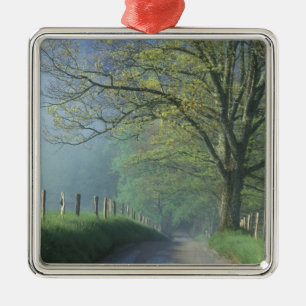 Ornamento De Metal NA, EUA, Tennessee, Cades Cove, Enfumaçado Excelen