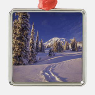 Ornamento De Metal NA, EUA, Washington, Mt. Rainier NP, Neve