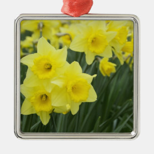 Ornamento De Metal Narcisos RF)