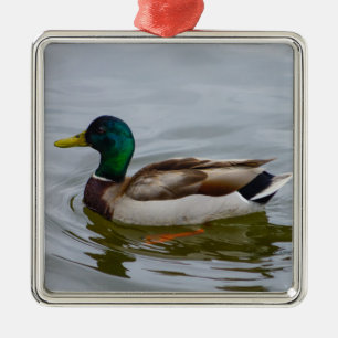 Ornamento De Metal Natação Mallard Natação