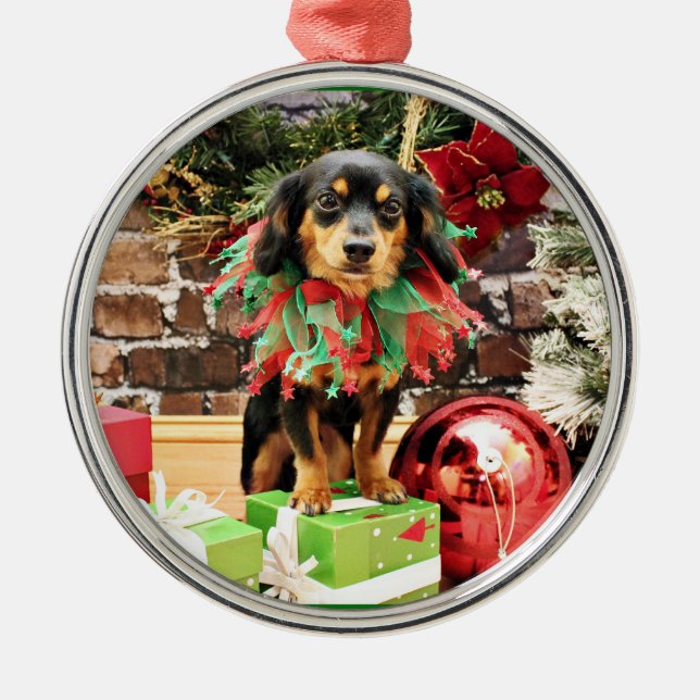 Ornamento De Metal Natal - Chiweenie - Titus (Frente)