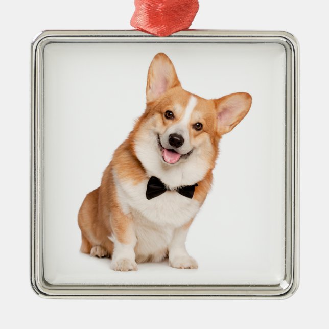 Ornamento De Metal Natal de Corgi (Frente)