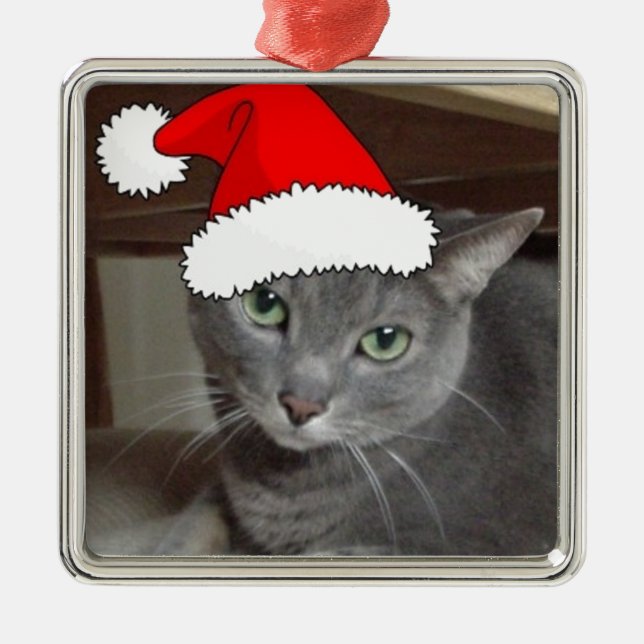 Ornamento De Metal Natal de Gato Azul Russo (Frente)