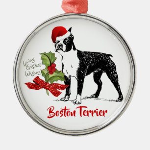 Ornamento De Metal Natal do azevinho do boné de Boston Terrier