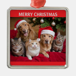 Ornamento De Metal Natal para gatos e cães