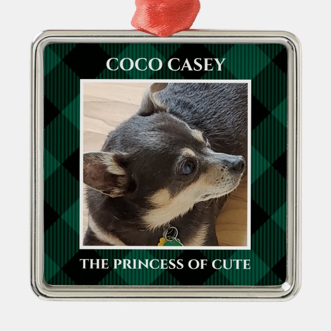 Ornamento De Metal Natal Sua Xadrez de Foto Pet Buffalo (Frente)