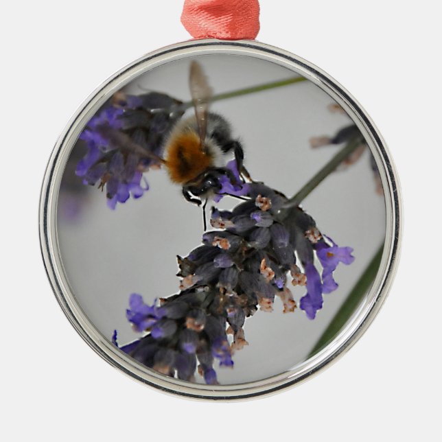 Ornamento De Metal Natures WonMaravilha Workers (Frente)