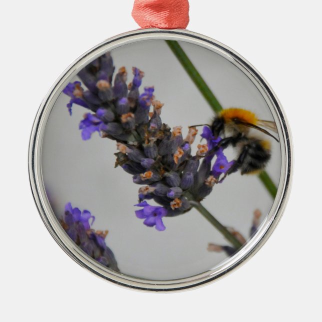 Ornamento De Metal Natures WonMaravilha Workers (Frente)