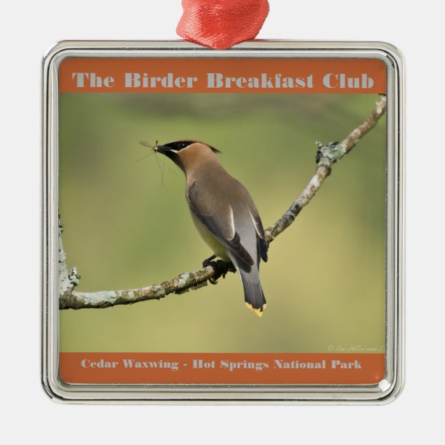 Ornamento De Metal Natureza Fotografia Cedar Waxwing Birder (Frente)